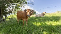 balade en savoie 2